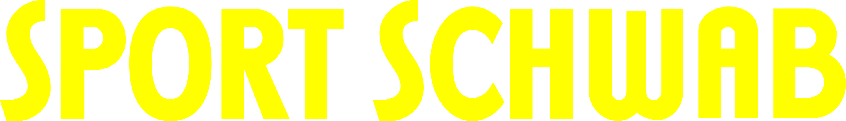 Logo Sport Schwab
